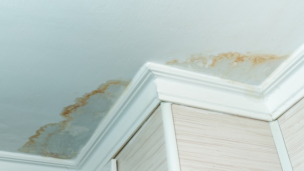 brown stains on ceiling no leak