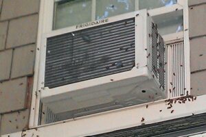 Can Bees Get in Through Window AC?
